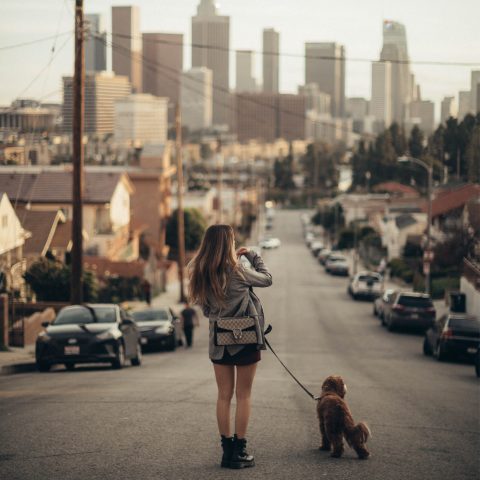 A woman with long hair walks a small brown dog on a leash down a city street with tall buildings in the background.