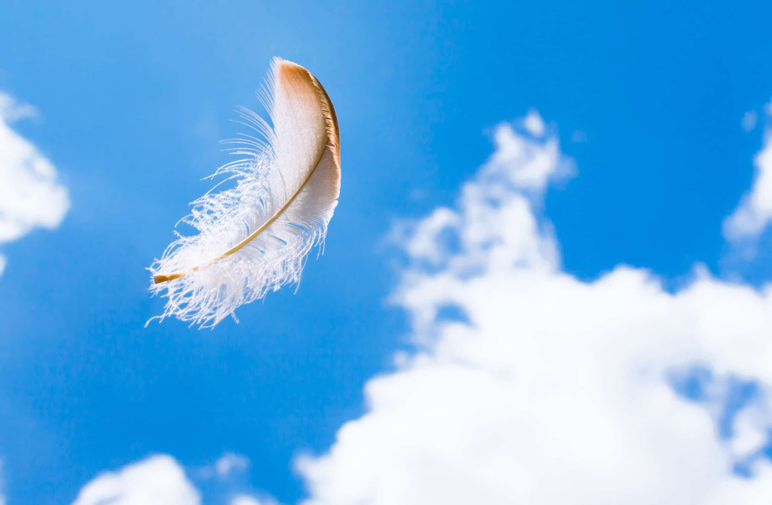A single white feather floats in the air against a bright blue sky with scattered white clouds.