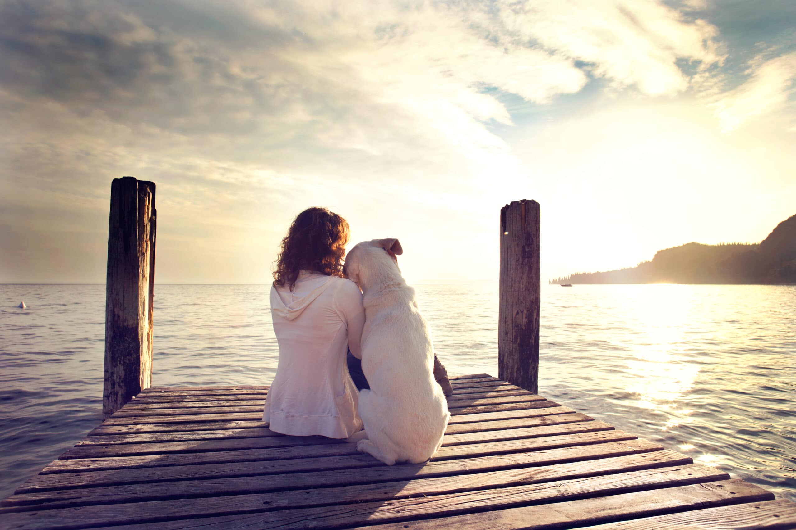 A person and a dog sit side by side on a wooden dock, facing a calm body of water at sunset.