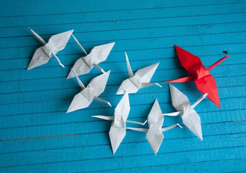 Several white origami cranes and one red origami crane are arranged on a blue wooden surface.