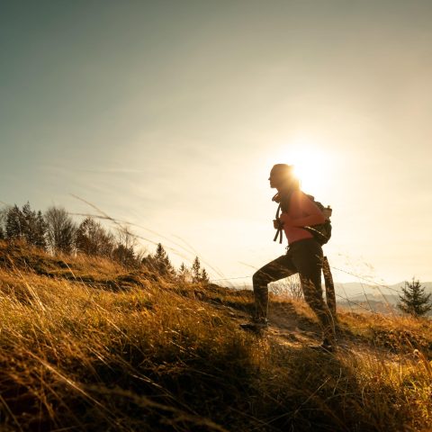 The Speed of Your Decisiveness