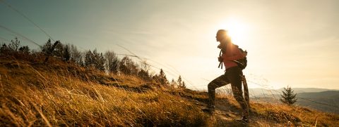 The Speed of Your Decisiveness