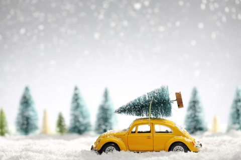 A small yellow toy car with a miniature Christmas tree tied to its roof is placed on snowy ground, with blurred pine trees in the background.