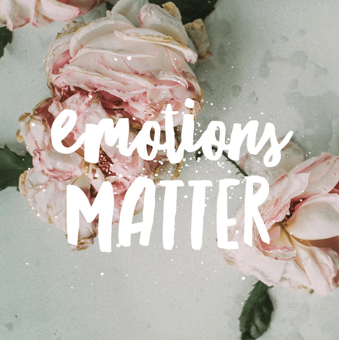 Faded pink roses on a light surface with the words "emotions MATTER" in bold white text overlaying the flowers.