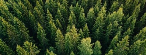 Better Than Happy Jody Moore