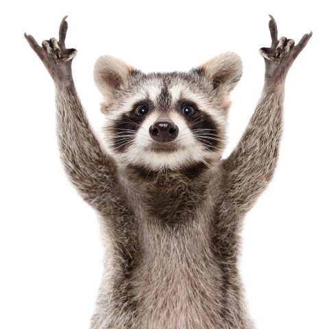 Approval Power (Encore)