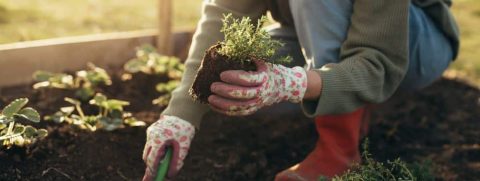 Better Than Happy Jody Moore