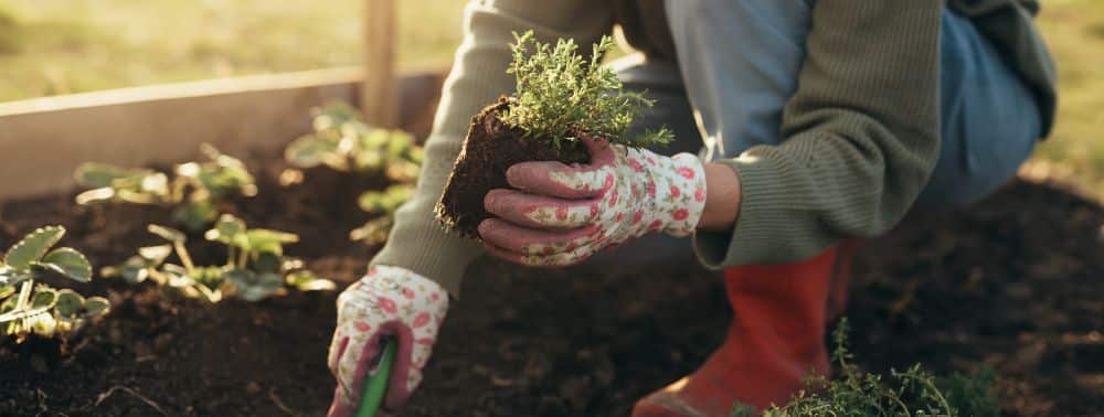 Better Than Happy Jody Moore