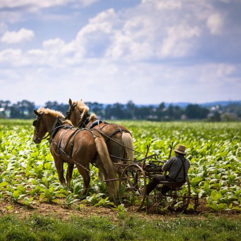 Better Than Happy Jody Moore