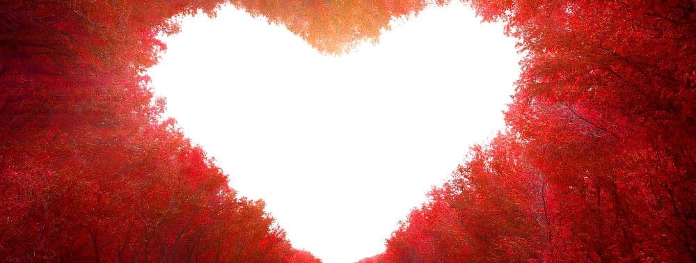 Better Than Happy Jody Moore