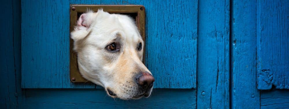 Better Than Happy Jody Moore