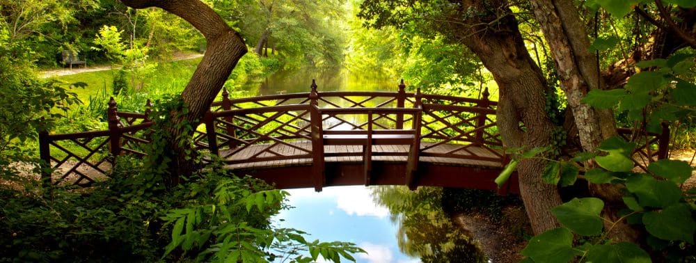 Better Than Happy Jody Moore